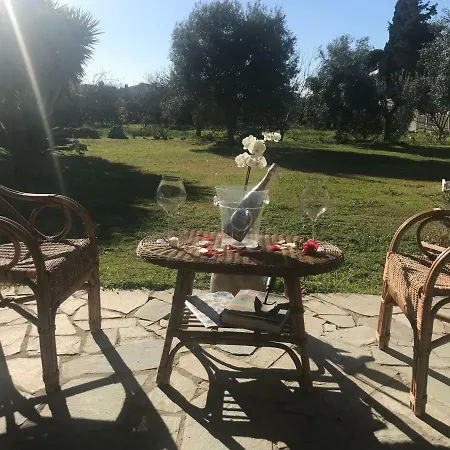 Rosa Holiday home *