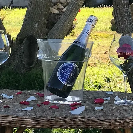 Rosa Sant'Andrea (Sardinia)