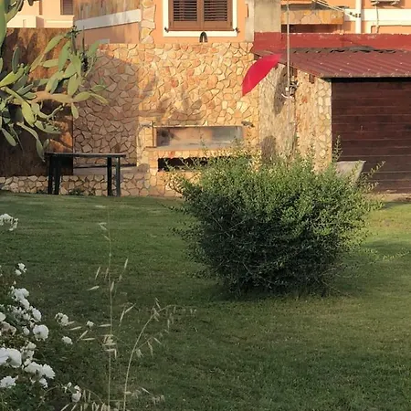Rosa *