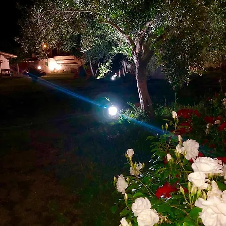 Holiday home Rosa Sant'Andrea (Sardinia)