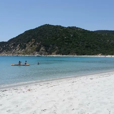 Rosa * Sant'Andrea (Sardinia)
